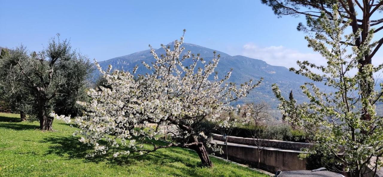Loup Castel Boutique Hotel B&B Le Bar-sur-Loup 외부 사진