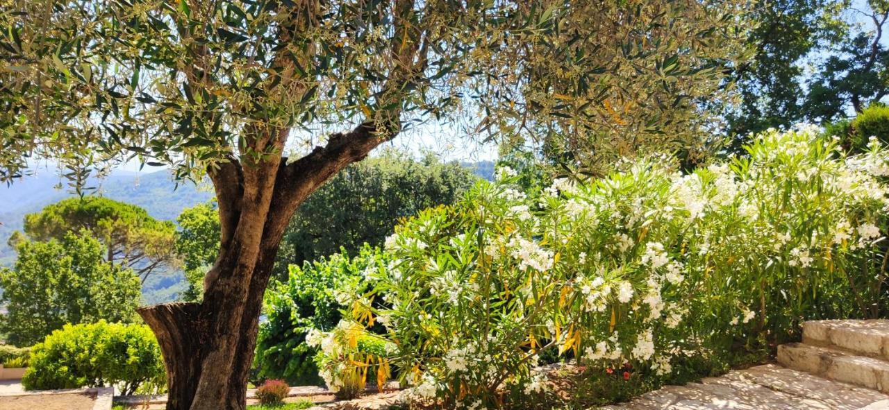 Loup Castel Boutique Hotel B&B Le Bar-sur-Loup 외부 사진